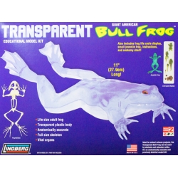 Model plastikowy Lindberg - Transparent Bull Frog (Przezroczysta żaba rycząca)