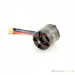 Silnik Redox Brushless BL 3000/700